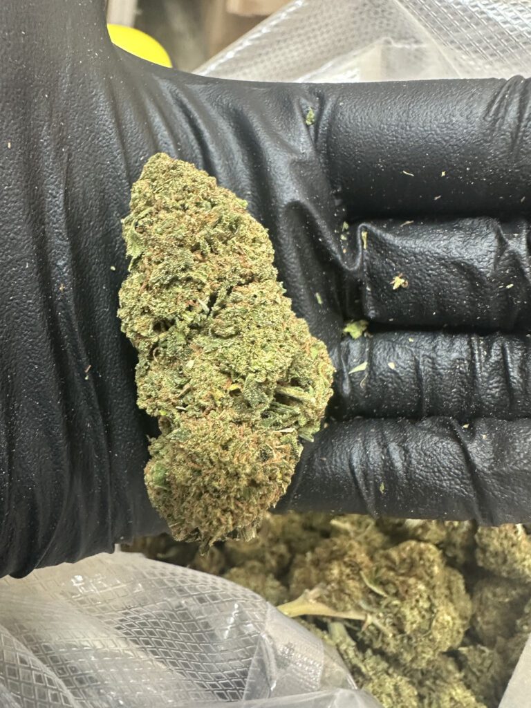 Apple Pie CBD