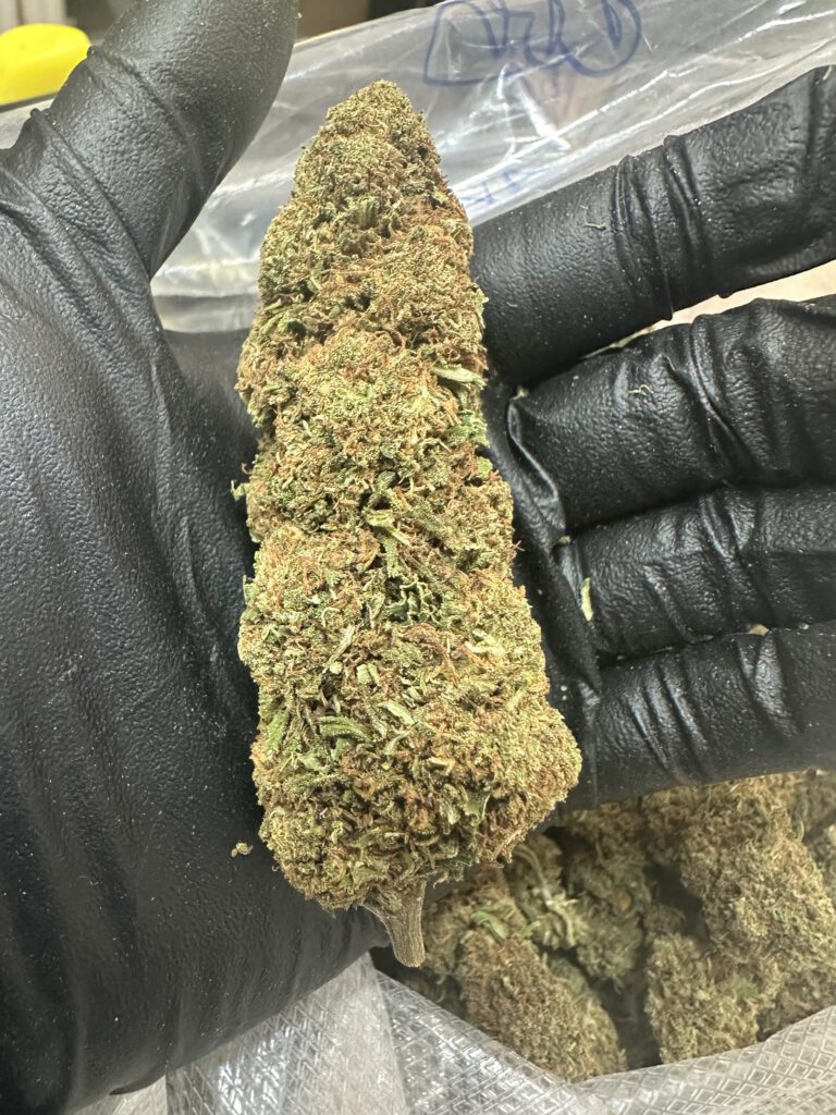 Candy Kush CBD