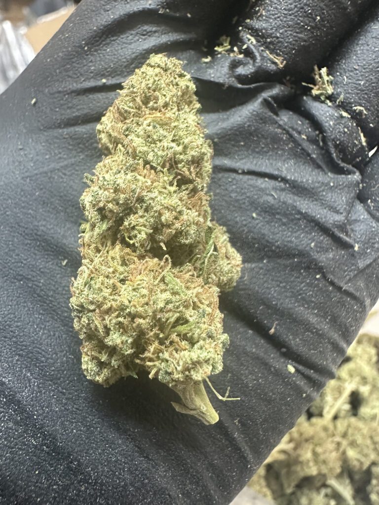 Forbidden Fruit CBD